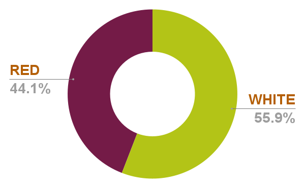 Chart 6 
